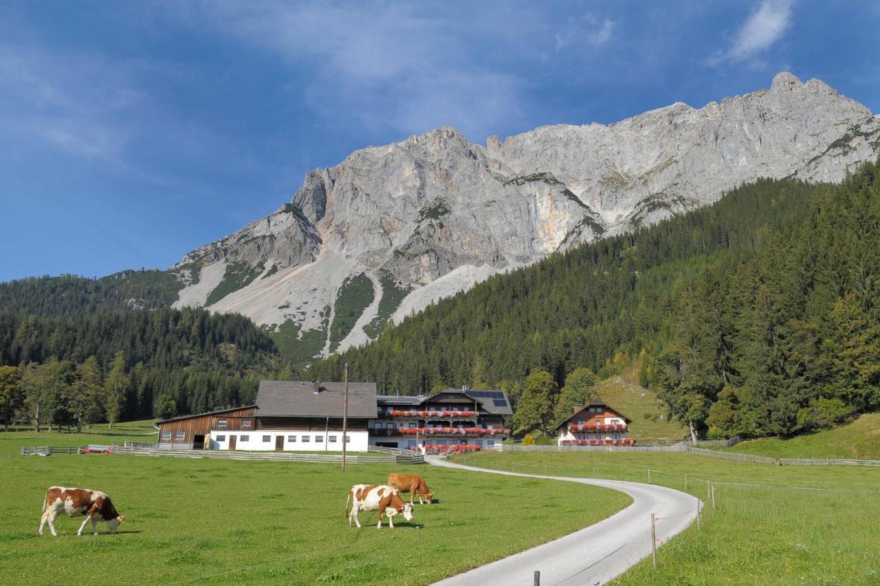 Feichtlehnerhof Ramsau am Dachstein